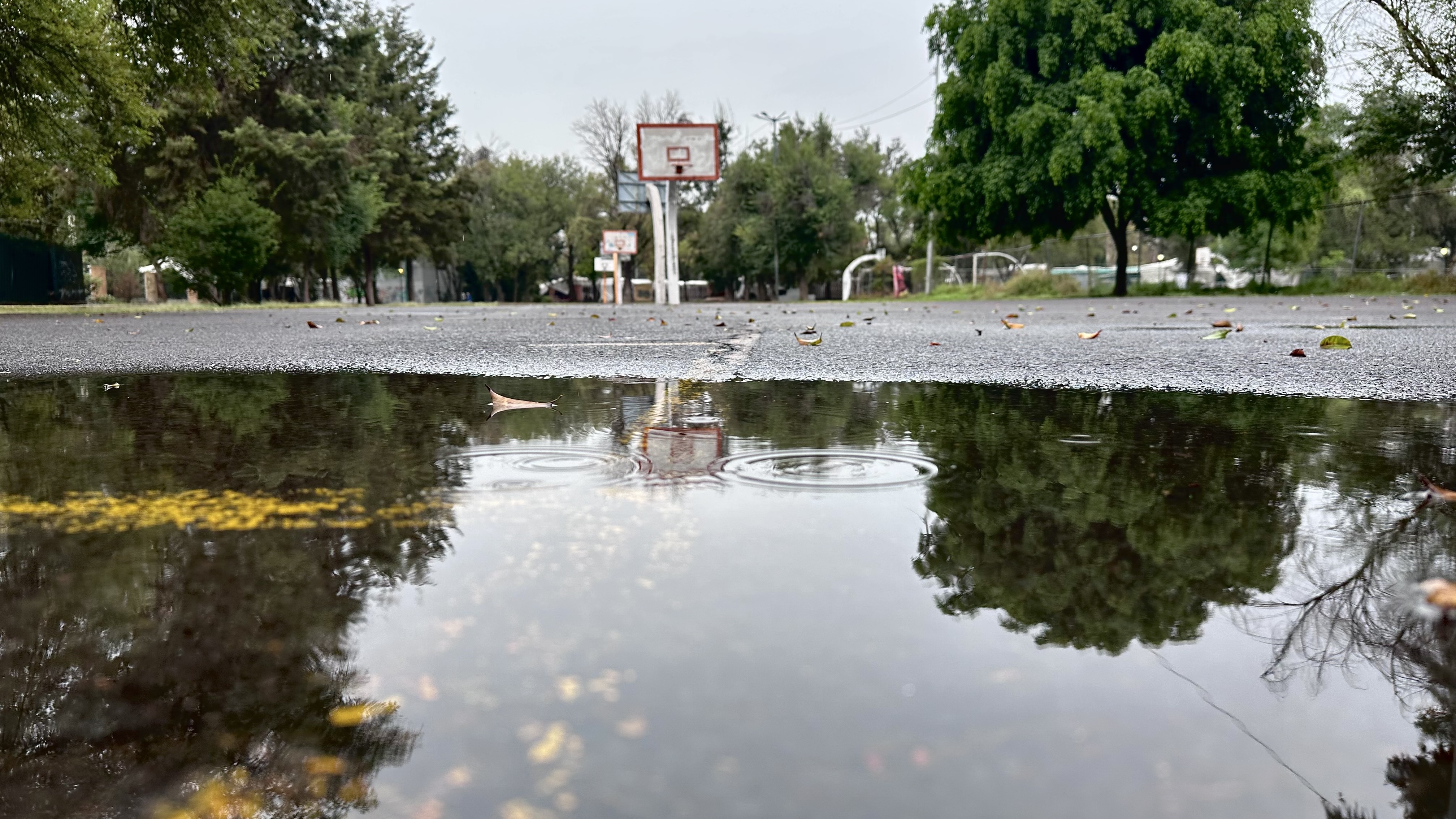 Cancha de basketball